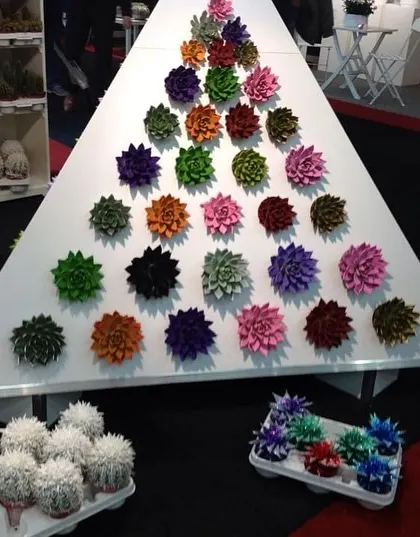 A creative and colorful display of painted succulents at a trade show in the Netherlands.
