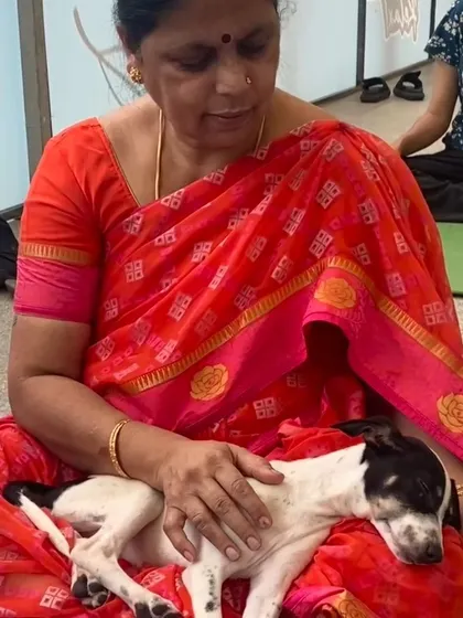 Even the most energetic puppies enjoy a moment of calm. This little one found a peaceful lap to rest on during the yoga event.