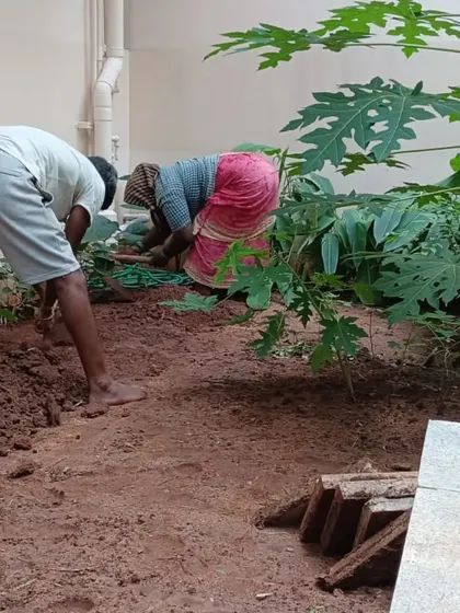 The first step in any project is proper preparation. Here, my team is clearing the ground and removing old debris to prepare for a new garden bed.