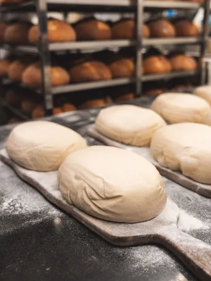 Dough ready for the oven. You can see the care taken in shaping each loaf, which will help it rise evenly and form a beautiful crust.
