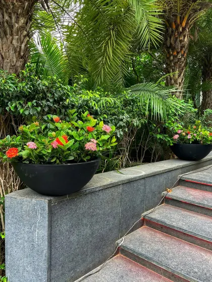 These beautiful Ixora plants in black bowl planters were also part of the set dressing, adding a pop of color to an outdoor staircase.
