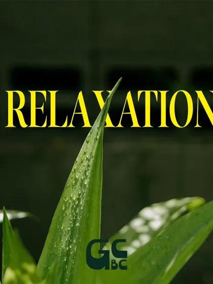 The dew on the leaves in the morning is a reminder of the calm and relaxation that starts here every day.