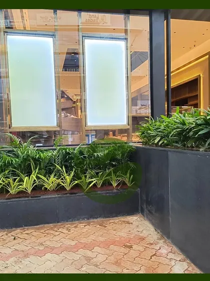A closer look at the planter beds we installed at the Ethos storefront. We used a mix of upright and spreading plants to create a full, lush effect that softens the hard lines of the entrance and adds a touch of natural beauty.