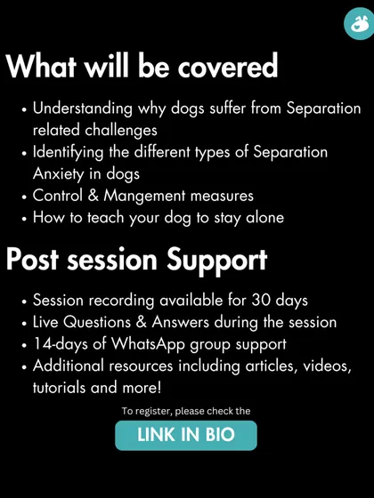 Our separation anxiety workshop covers the different types of separation-related behaviors and provides clear management and training protocols. You'll also get access to the session recording and additional resources to guide you.