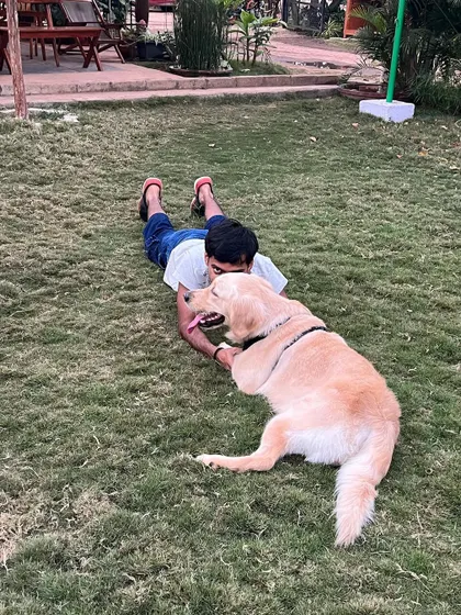 A guest and a dog share a playful cuddle on the grass. Our open space encourages these wonderful moments of bonding.