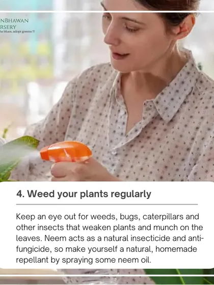 Regular weeding and pest control are essential for plant health. We use natural repellants like neem oil to keep bugs, caterpillars, and other insects from damaging your plants.