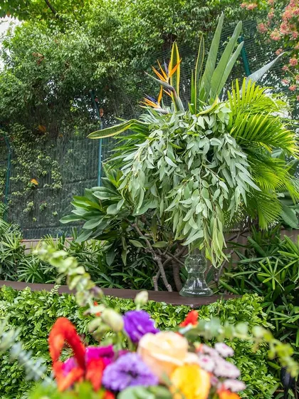 Large arrangements featuring tropical foliage like Birds of Paradise are used to create dramatic focal points and blend the event space with the surrounding garden.