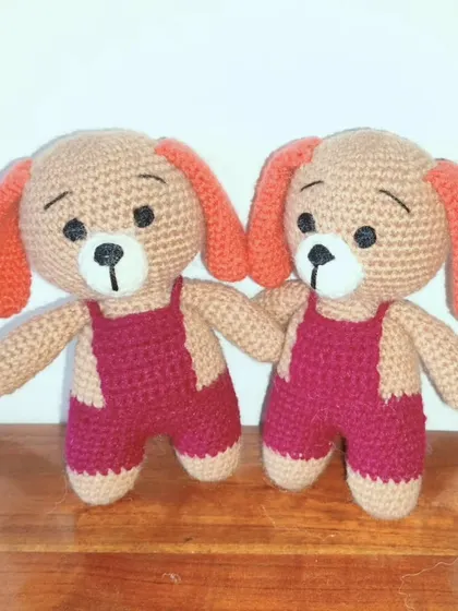 A pair of matching puppies with orange ears and magenta overalls.