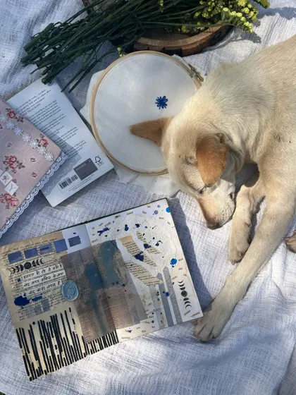 A peaceful moment captured during a picnic, with my dog sleeping next to my art supplies and a finished collage page.
