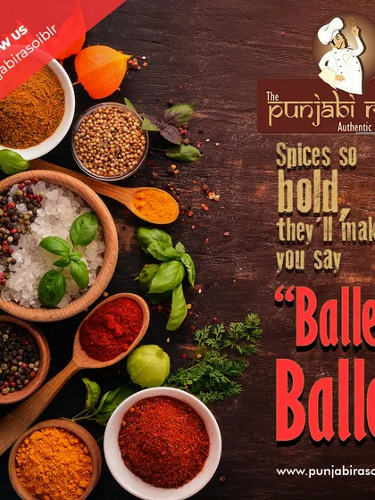 Spices so bold they'll make you say "Balle Balle!" This graphic highlights the core of our flavor profile: authentic, powerful spices.