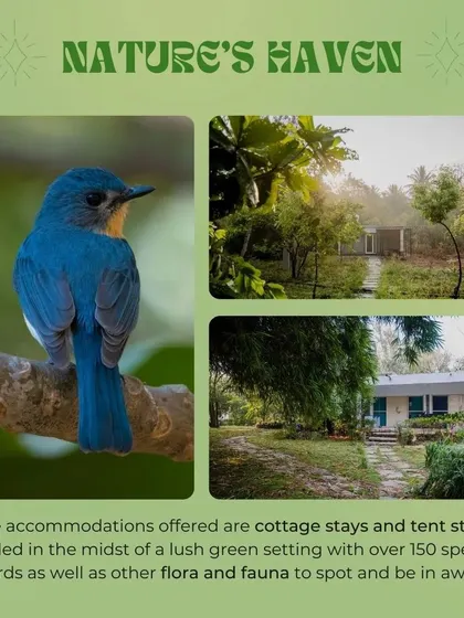 Our accommodations are nestled in nature. We offer cottage and tent stays in a lush green setting with over 150 species of birds to spot.
