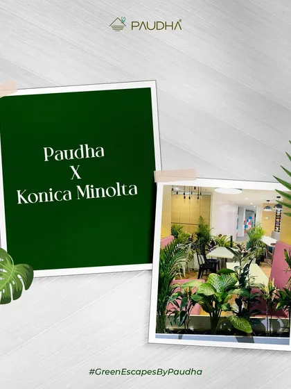 This image marks our collaboration with Konica Minolta. It's a snapshot of the final result, a workspace filled with green escapes that are designed to improve the daily life of the people who work there.