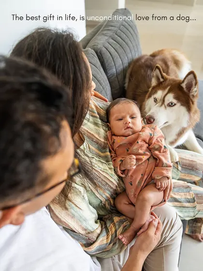 A beautiful family portrait from above, with parents looking at their newborn while their husky looks on with unconditional love.