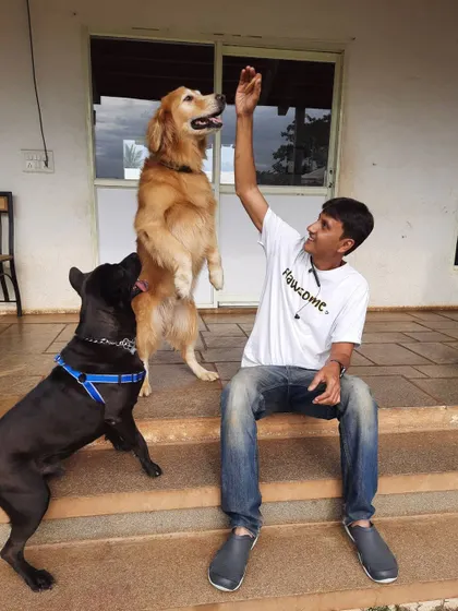 High fives for treats. We love interacting with our guests and finding fun ways to connect with them during their stay.