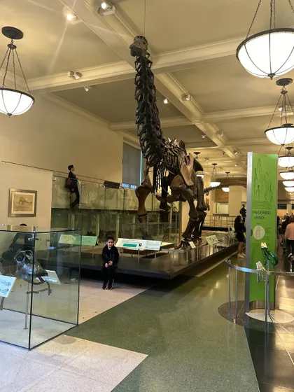The sheer size of this dinosaur skeleton at the AMNH is breathtaking. Moments like these inspire awe and wonder, which are the seeds of all great learning.