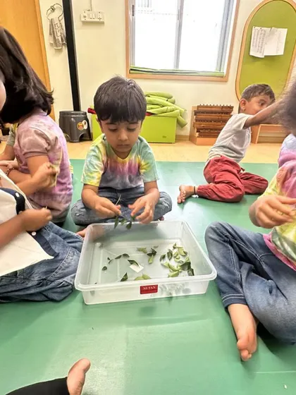 Each activity, from making Bhel Puri and toast to plucking methi leaves and exploring what floats, is a lesson in itself. These practical life and sensorial activities are central to the Montessori method, helping children develop fine motor skills, concentration, and a deep understanding of the world through their own actions.
