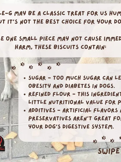 While a small piece might not cause immediate harm, Parle-G biscuits contain sugar, refined flour, and additives that are not healthy for your dog's digestive system.