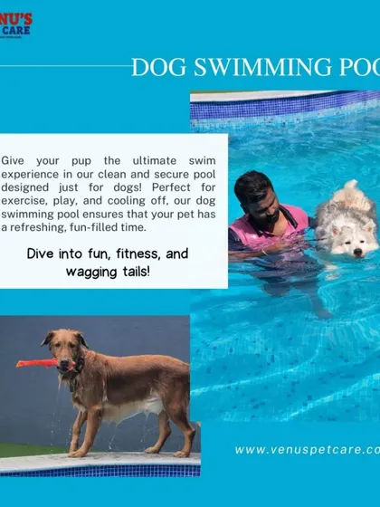 Our dog swimming pool is designed to be clean, secure, and full of fun. We invite you to bring your pup for a session of fitness and wagging tails.