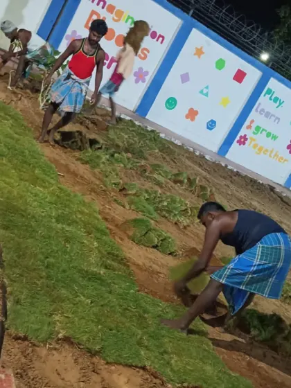 Here is my team at work, carefully laying down sod piece by piece. We work efficiently to bring the garden design to life.