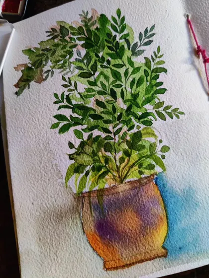 An experimental watercolor painting of a potted plant. I played with wet-on-wet techniques to create the soft, blended colors in the pot and the detailed leaves.