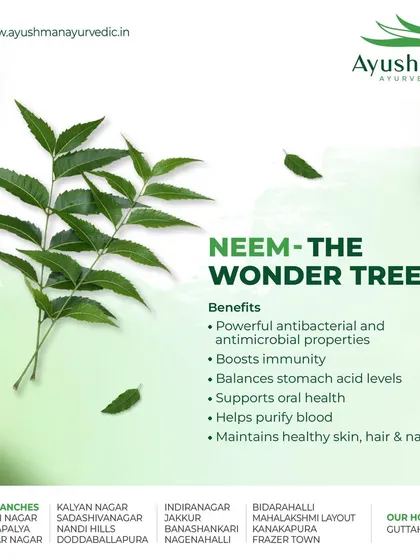 This post highlights the benefits of Neem, the "wonder tree." We explain its powerful antibacterial properties, its ability to boost immunity, purify blood, and maintain healthy skin and hair.