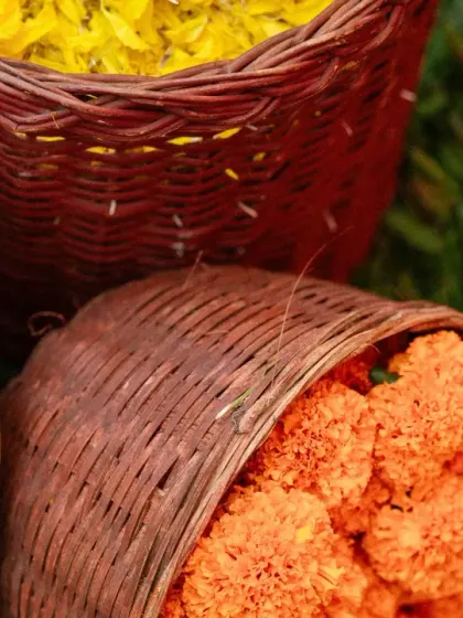Baskets filled with fresh marigold flowers, ready to be used for the Haldi ceremony and to shower the couple with blessings.