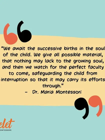 This quote from Dr. Montessori beautifully explains our role as guides. We provide the materials and safeguard the child from interruption, allowing their natural development to unfold as we await the 'successive births in the soul of the child'.