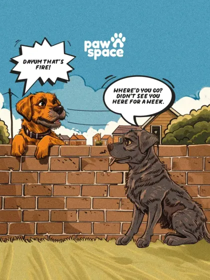 This is the start of a fun travel story. Our relocation services ensure your pet has an exciting tale to tell their neighborhood friends when they return from their trip.