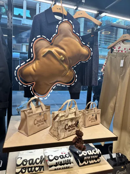 This adorable teddy bear bag from Coach gets a cute stitched outline doodle.