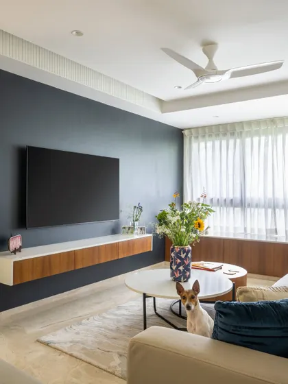 The living room is designed for comfort and style. A dark feature wall anchors the space, while the light-colored sofa, sheer curtains, and the owner's adorable dog add warmth and personality.