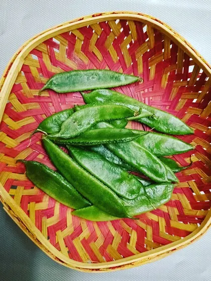 Freshly harvested flat beans, another part of our weekend produce delivery. Our goal is to provide a reliable source of diverse, high-quality vegetables.