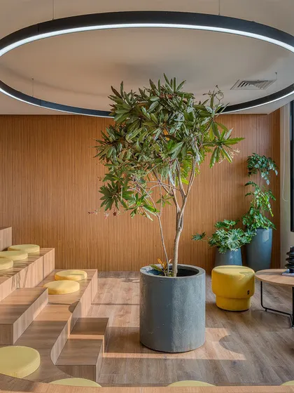 A stepped, amphitheater-style seating area at Laurus Labs. This informal collaboration zone, complete with indoor plants, encourages spontaneous meetings and creative exchange outside of a formal office setting.