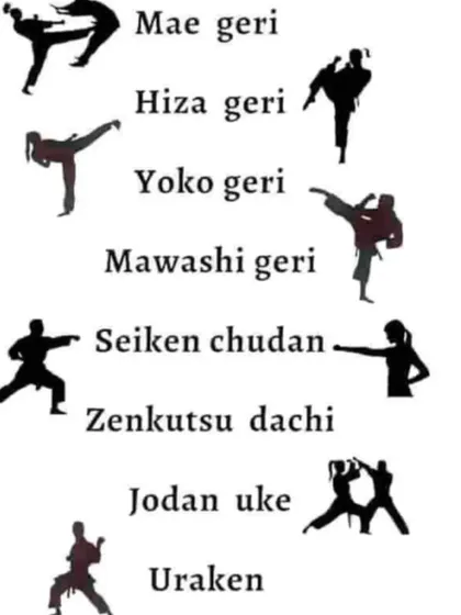 A visual guide to some of the essential Japanese terms for karate techniques we teach, including kicks (geri), punches (tsuki), and stances (dachi).