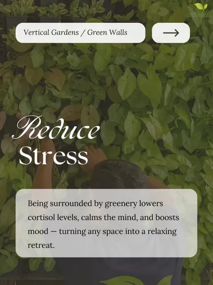 Being surrounded by greenery is scientifically proven to lower cortisol levels and calm the mind. Our walls turn any space into a relaxing retreat.