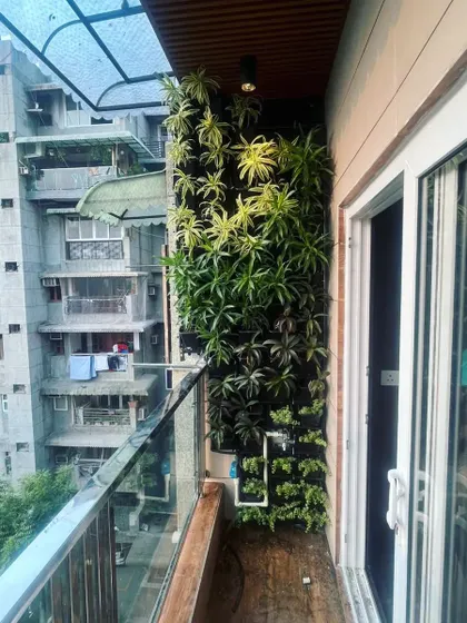 The completed natural vertical garden on the balcony, fully installed and ready to thrive.