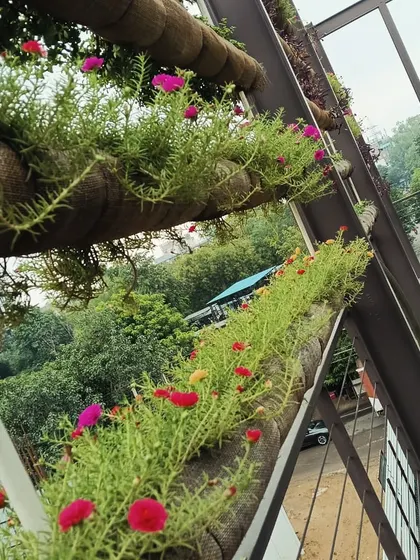 A close-up of a natural vertical garden in bloom. This image shows how our living walls evolve with the seasons, with colorful flowers adding a new dimension to the greenery, especially during the monsoon.