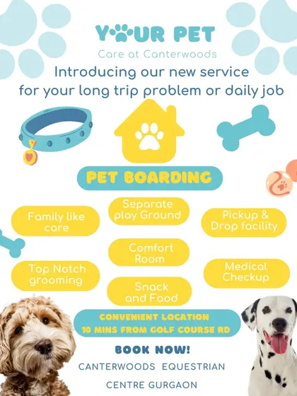 We've designed our pet boarding services to cover every need, ensuring your peace of mind and your pet's comfort. This overview shows our key features, from family-like care and a dedicated comfort room to medical checkups and a convenient pickup and drop-off facility.