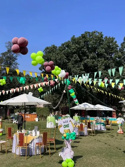 An outdoor jungle-themed party setup on a large lawn, with themed banners, umbrellas, and table settings.