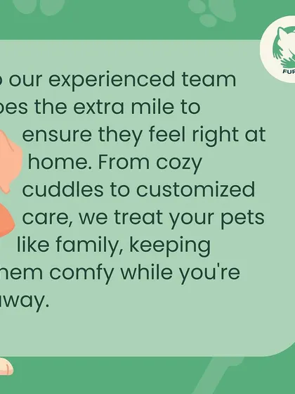 Our experienced team goes the extra mile to ensure your pets feel right at home. From cozy cuddles to customized care, we treat your pets like our own family.