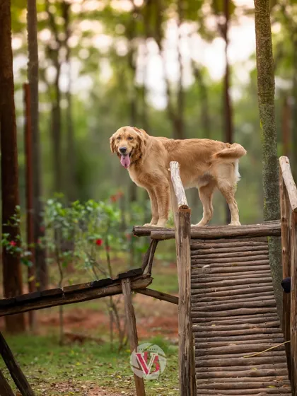 Asher, king of the wooden ramp. Outdoor locations with interesting structures provide great opportunities for unique portraits.