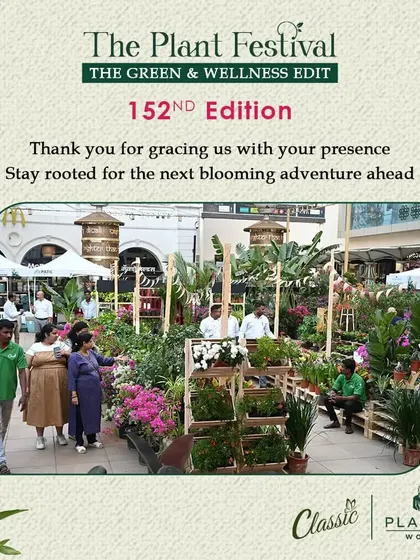 Visitors browsing through the extensive collection of plants. Our layout is designed for easy exploration, allowing you to leisurely discover new additions for your home and garden.