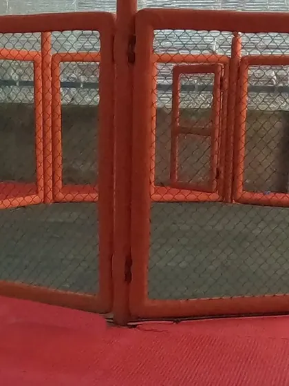 The MMA cage at our Sector 141 club. This is where our fighters hone their skills in a realistic environment.
