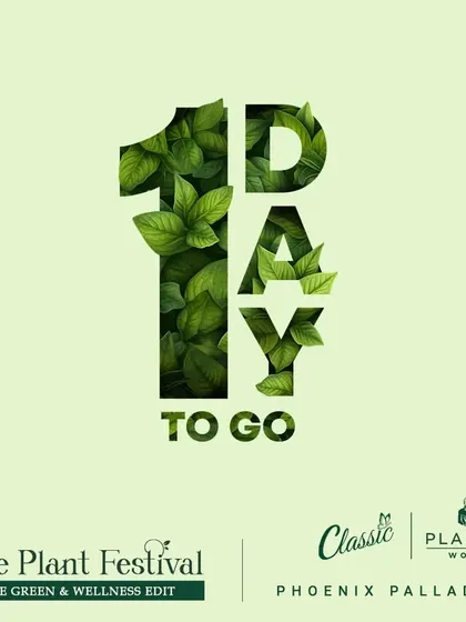 The final countdown to one of our festivals. The excitement is palpable as we prepare to welcome thousands of plant lovers to another green celebration.