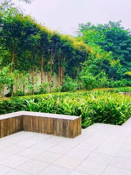 Custom-built wooden benches integrated with planters at a property in Gurugram. This type of functional hardscaping provides seating while also organizing the planting scheme.
