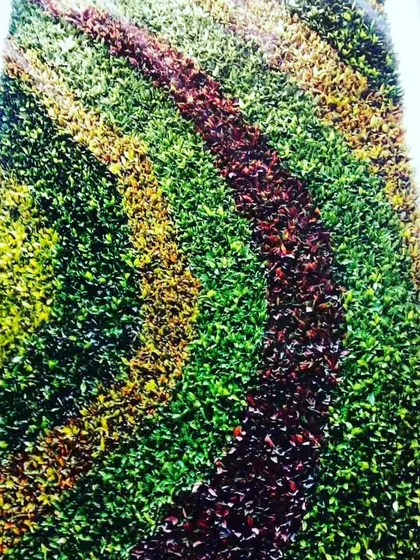 A vertical wall with a colorful, abstract pattern. I use different colored leaves to create custom art pieces for clients who want something truly unique.