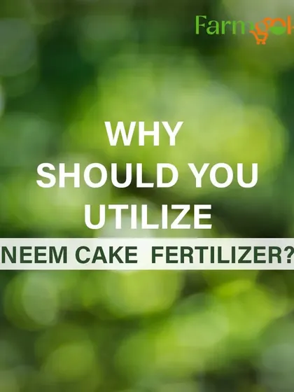 Wondering why you should use Neem Cake fertilizer? It's a 100% natural and organic way to nourish your soil and protect your plants.