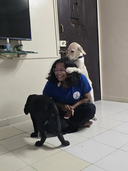 Playful chaos with two happy pups. It's moments of laughter and fun like this that build a positive association and make my stay feel like a visit from a fun friend, not a stranger.