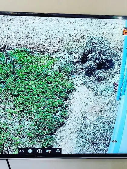 This camera is monitoring a field or garden area, showing the system's utility for agricultural properties.