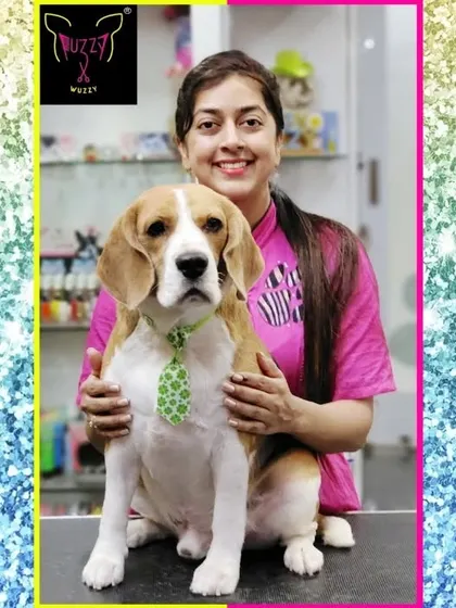 What a cutie. This Beagle is looking very proper with his green plaid tie after his spa day.