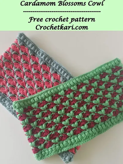 I offer the free crochet pattern for this cowl on my blog. It's a great way to celebrate my crochet journey with my wonderful online community.